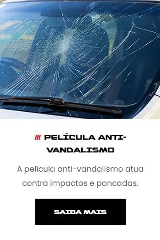 pelicula-anti-vandalismo